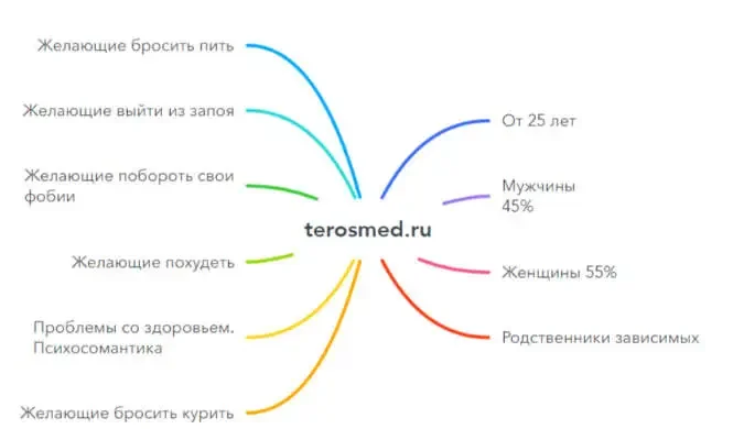 Teros — сегментация целевой аудитории
